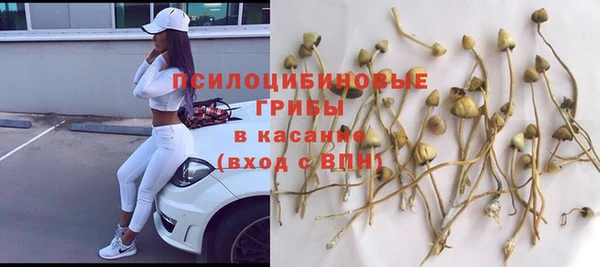 кокаин колумбия Белокуриха
