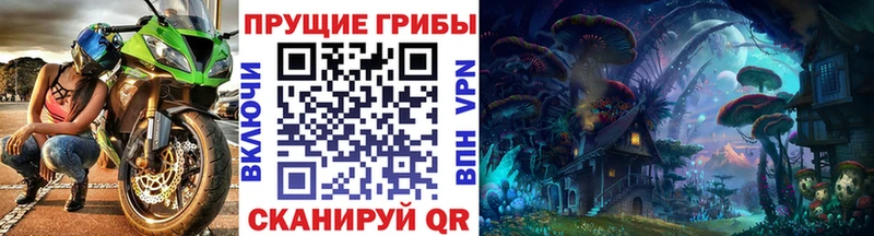 купить   Котельники  Псилоцибиновые грибы Magic Shrooms 
